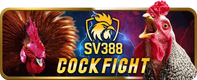 Cấp độ VIP Đồng bongx9 win
