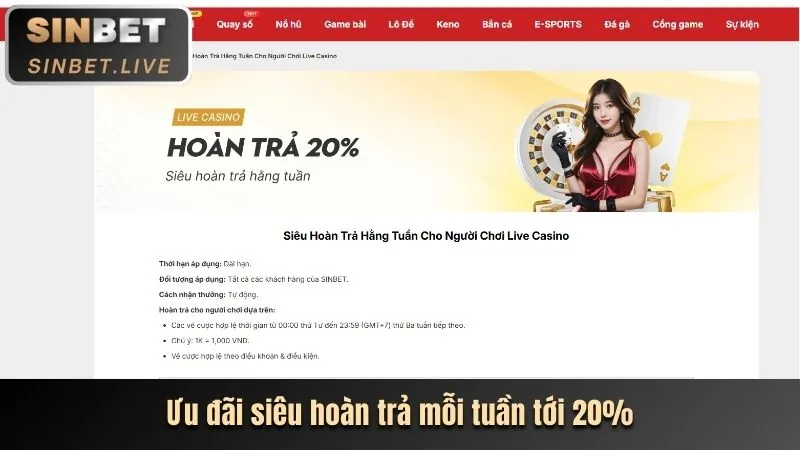 Hoàn trả cược thua tại Bongx9 Win